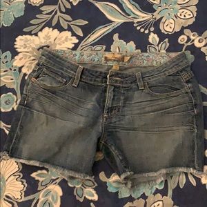 Paige Casual Denim Shorts